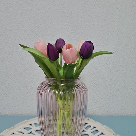 Casa Vacanza Il Tulipano Nichelino Eksteriør billede